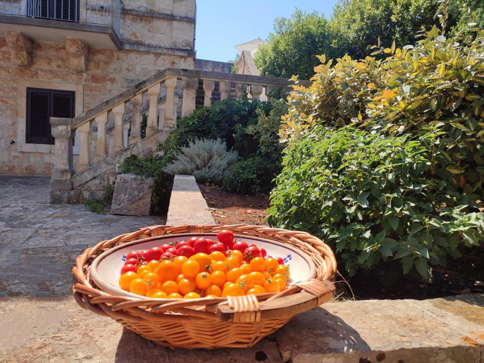 Villa Ostuni Монополі Екстер'єр фото